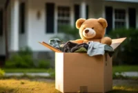 What We Can’t Move: Your Guide to Non‑Transportable Items